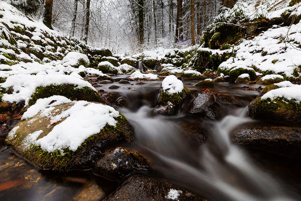 Hinwiler Tobel, momente-der-schoepfung.ch