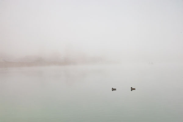 Pfäffikersee, momente-der-schoepfung.ch