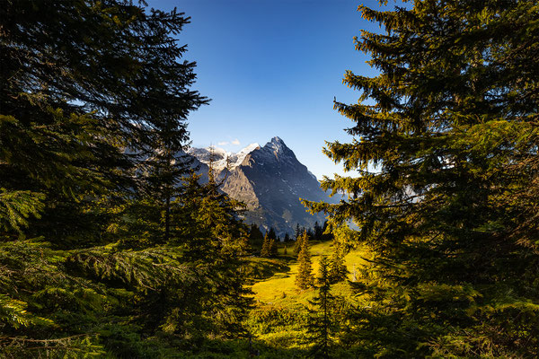 Kleiner See unterhalb von der grossen Scheidegg, Blick Richtung Eigernordwand, momente-der-schoepfung.ch