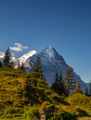 Kleiner See unterhalb von der grossen Scheidegg, Blick Richtung Eigernordwand, momente-der-schoepfung.ch