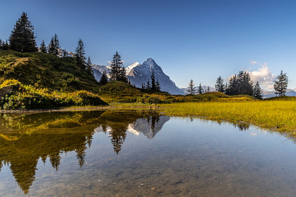 Kleiner See unterhalb von der grossen Scheidegg, Blick Richtung Eigernordwand, momente-der-schoepfung.ch