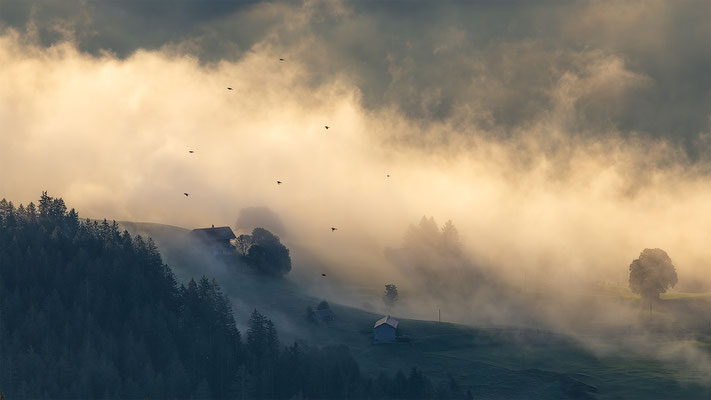 Sicht vom Niederhorn, momente-der-schoepfung.ch