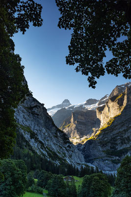 Ischbode Blick Richtung kleines Schreckhorn und Gletscher, momente-der-schoepfung.ch