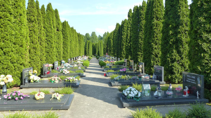 Une des allées du cimetière de Vukovar