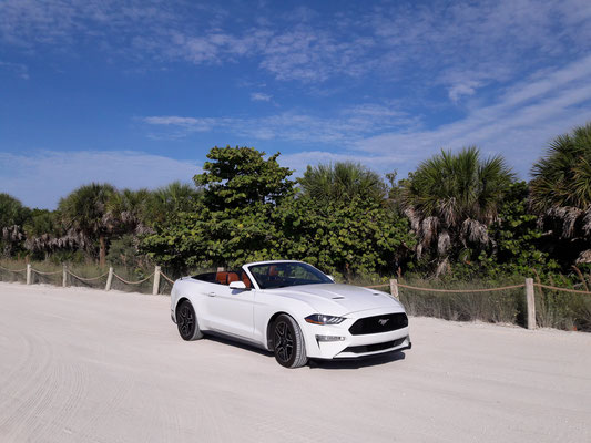 Ford Mustang perfect vehicle for your Florida vacation