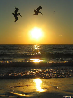 Siesta Key - heavenly sunsets - Gulf Coast Florida