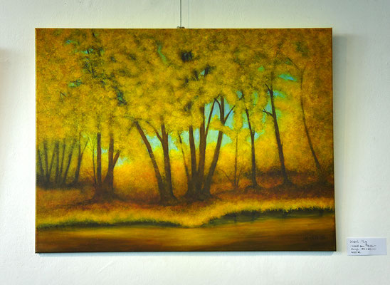 Karl Ilg   - Wald am Teich -     Acryl    80 x 60 cm