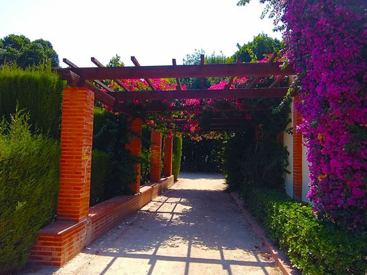 Algo muy valenciano, asi se evita que el sol caliente la alquería de Canet.