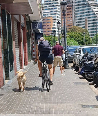 Por la acera en eñ barrio de Monteolivet circulando con el perro sujeto con una correa.