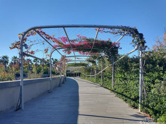 Paseo Norte-Sur.