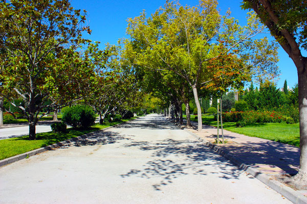 Pasear era un placer por viveros hasta que la alcaldesa permite que entren las bicicletas.