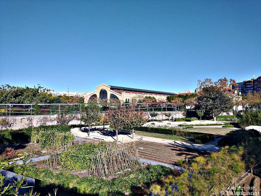 Jardín de la Huerta: Combina la tradición de la huerta valenciana con la belleza de un jardín ornamental. 