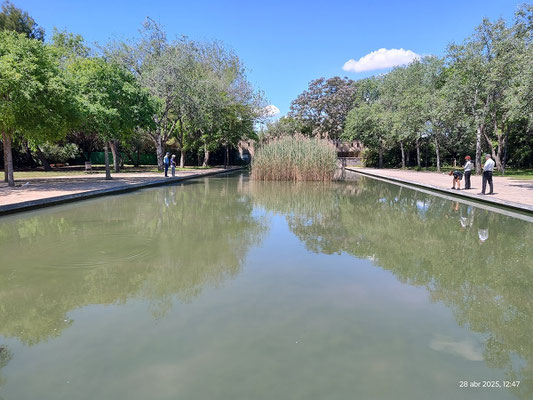 Por la senda del parque llegamos al final donde hay una balsa de agua y patos.