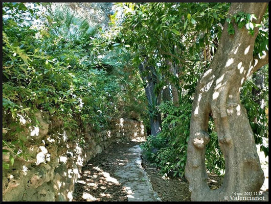 El agua corre por estos jardines en abundancia.