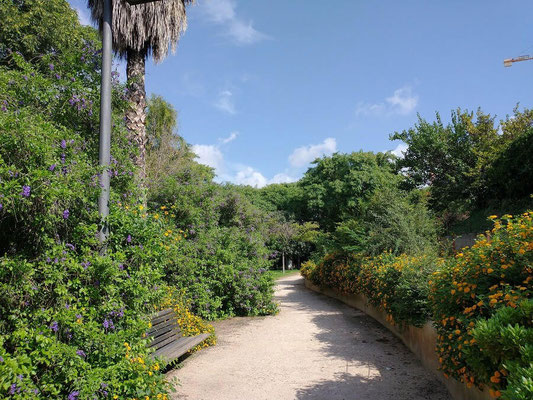 De los mejores parques de Valencia por su buen mantenimiento y apariencia de limpieza. Así mismo es cuna de gatos y un ambiente de paz
