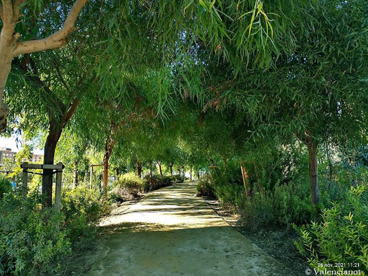 El parque es un espacio abierto donde la topografía, el agua y la vegetación delimitan los accesos.
