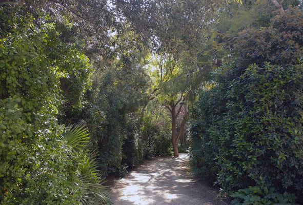 Pero siempre hay algo nuevo que ver en este parque ya que acuden aves de otros lugares.