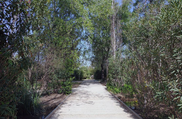 Un sendero para pasear y disfrutar de la naturaleza dentro de la ciudad.
