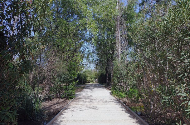 Un sendero para pasear y disfrutar de la naturaleza dentro de la ciudad. La única pega que a pesar que están prohibidos los perros y las bicis...no se hace el menor caso. 
