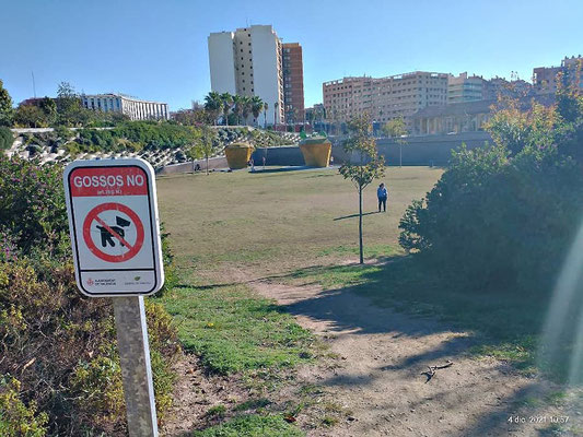 Esta es la misma zona que la de arriba. Prohibido perros ya que es una zona para niños, pues ahí están los perros sueltos.