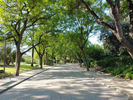 Se entra por la Puerta de la AV. de Burjassot y se sale por la otra puerta principal C. Amadeo Desfilis  (Benicalap).