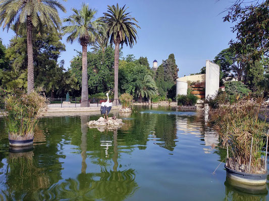 Fuente en forma Cigueña. Podemos ver el  Cormorán grande (Phalacrocorax carbo): Un ave piscívora, que se alimenta de peces y que se encuentra en el lago. 