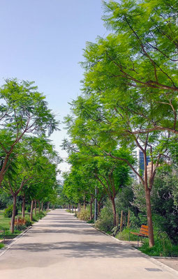 El Parque Urbano de Malilla se encuentra en la calle Fuente de San Luis, sin número, en el distrito de Quatre Carreres. Es fácilmente accesible mediante transporte público y cuenta con múltiples entradas que facilitan el acceso desde diferentes puntos.