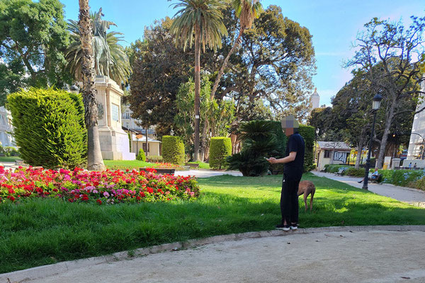Este está  en el Panterre, un parque histórico de la Ciudad de Valencia con la estatua de jaume I.