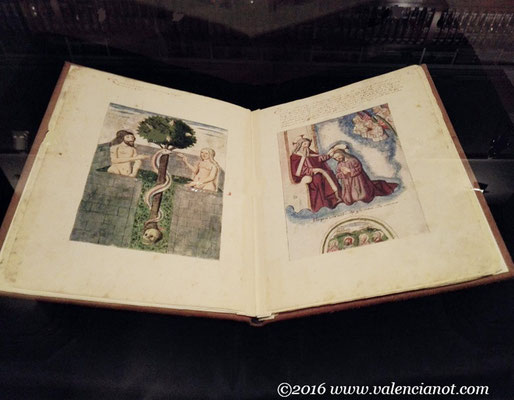 Cada libro nos  cuenta una historia. Son libros ilustrados de una profunda belleza desde la noche de los tiempos hasta nuestros días.
