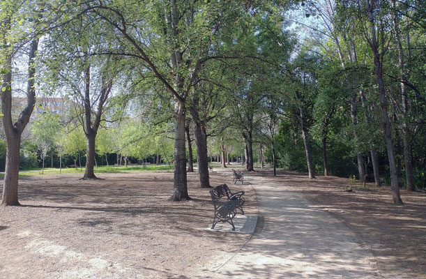 Seguimos el sedero por la izquierda y nos encontramos zonas despejas con asientos para disfrutar de la lectura al aire libre. 