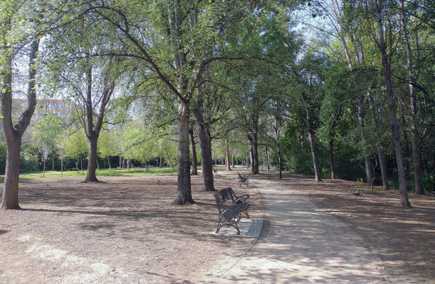 Seguimos el sedero por la izquierda y nos encontramos zonas despejas con asientos para disfrutar de la lectura al aire libre. 