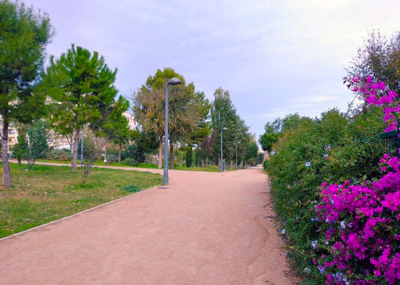 Ofrecen a los vecinos un lugar para el esparcimiento, la práctica deportiva y el contacto con la naturaleza.