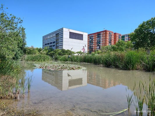 Una bonita imagen del  lago y del edificio de la Rambleta.