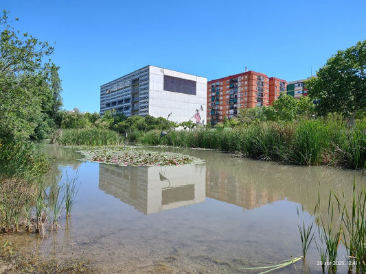 Una bonita imagen del  lago y del edificio de la Rambleta, desde la otra parte del lago.