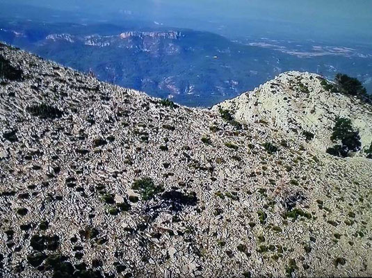 El territorio agreste del Maestrazgo en Castellón (España)