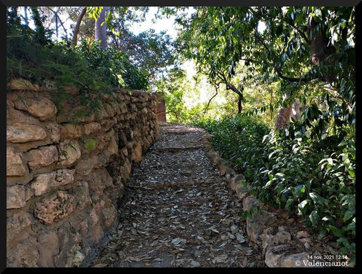 Subida a la montañita y al mirador del Jatdín de Monforte