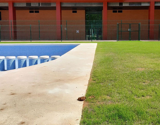 Esto es vergonzoso. Una zona privada de viviendas en un barrio caro para vivir, con piscina y ahi han dejado la mierda. 