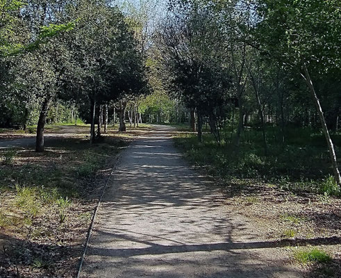 Y ahora nos dirigimos a la salida por el otro del huerto hurbano desaparecido.