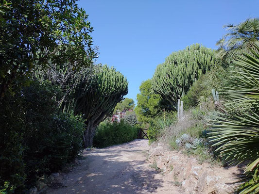 Paseando por la zona alta del Parque de Benicalap.