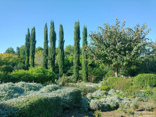 El diseño del parque busca crear una experiencia multisensorial, integrando la naturaleza con la vida urbana. 