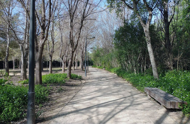 Seguimos el sendero hasta dar la vuelta al parque donde nos encontramos con una balsa de agua y patos.