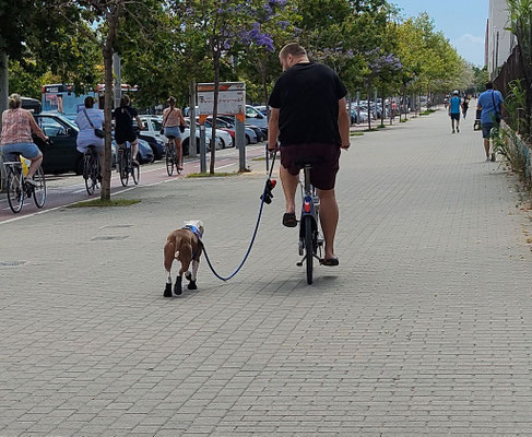 Primero fue uno, después empezaron a copiar esta idea muchos más, incluso con patinete.