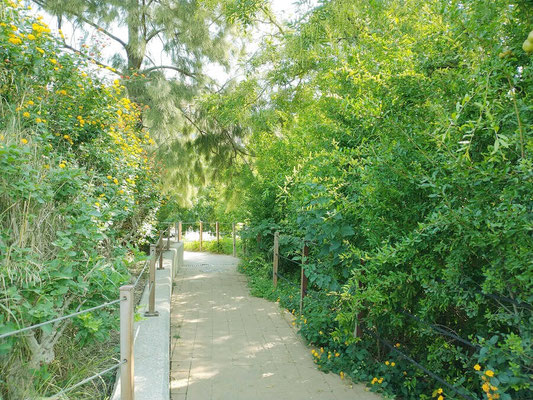 Pasear por   Jardín de  Polífilo es un placer para los sentidos por la paz que se respira.