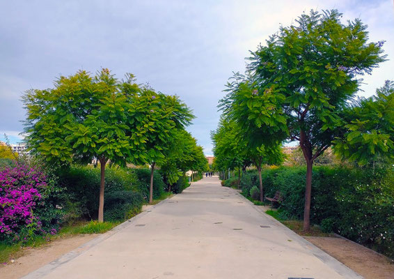 Este parque representa un ejemplo de integración de espacios verdes en el entorno urbano. 