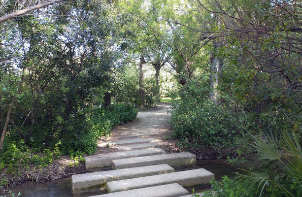 El parque cuenta con varios puentes  para pasar de un lado al otro, sin tener que dar la vuelta a todo el lago.