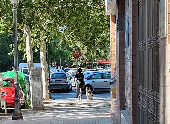Esta otra cicLista, va por cualquier otra calle de Valencia y lo peor que cada día van más.
