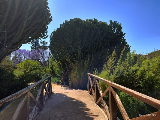 Puente de madera en la cascada del Parque de Benicalap
