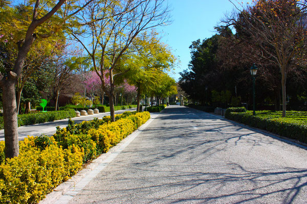 Saliendo de lo jardines de Viveros.