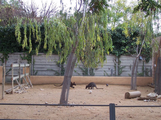 los Jardines de Viveros desde 1965 hasta su cierre, albergó una colección variada de animales.