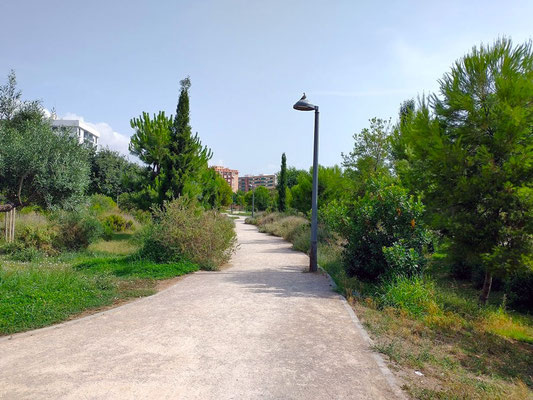 El Parque de Orriols es un pulmón verde que ha evolucionado para ofrecer a los vecinos un espacio natural, de ocio y convivencia, adaptándose a las necesidades del barrio y promoviendo la sostenibilidad y la participación ciudadana.